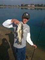 bass on senko worms